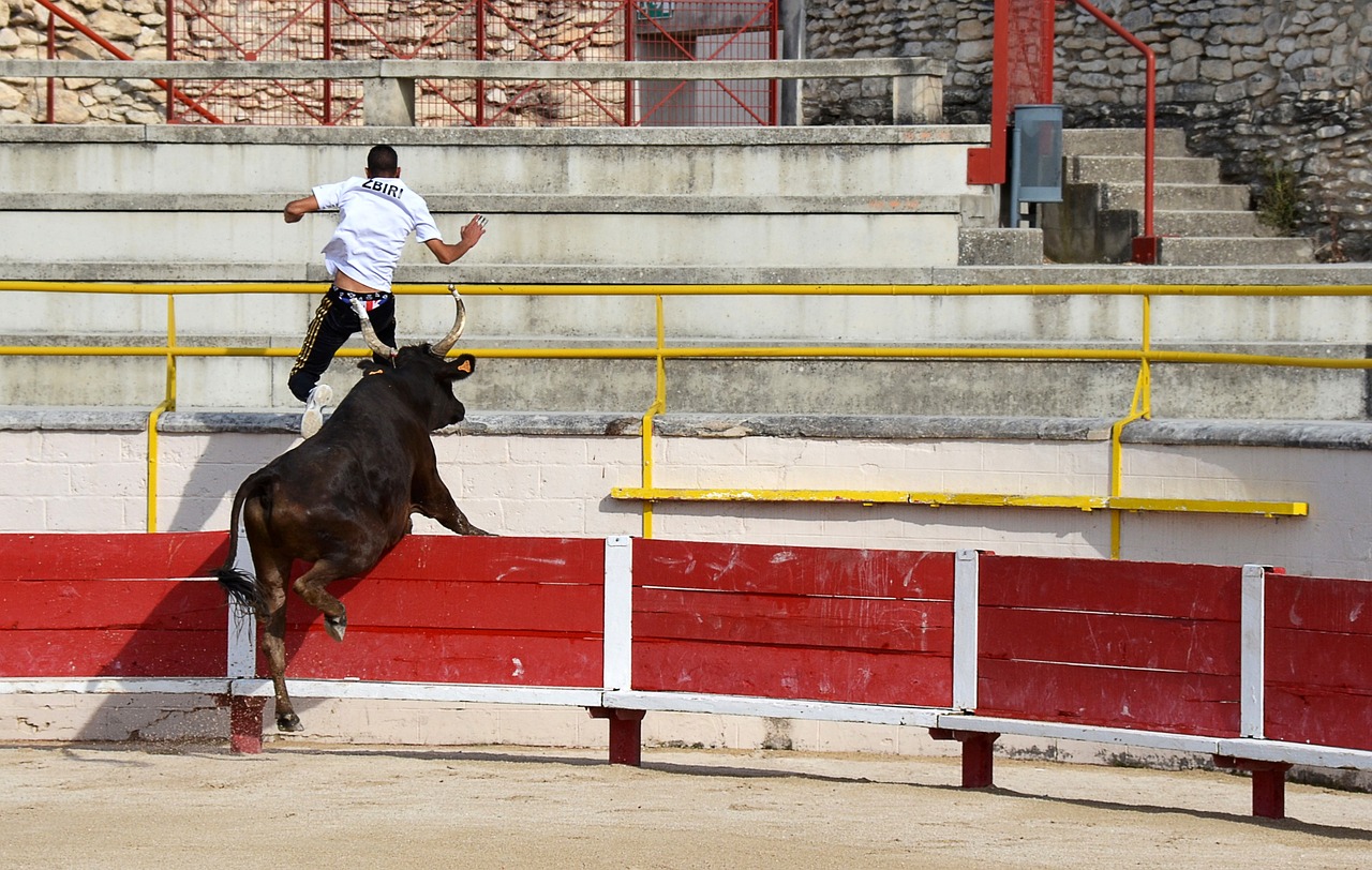 佩佩傳射